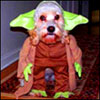 odamatyl's Avatar