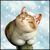 arelag's Avatar